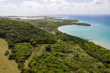 Anse Meunier ve Salines bölgesi, Sainte-Anne, Martinique, Fransız Antilleri.