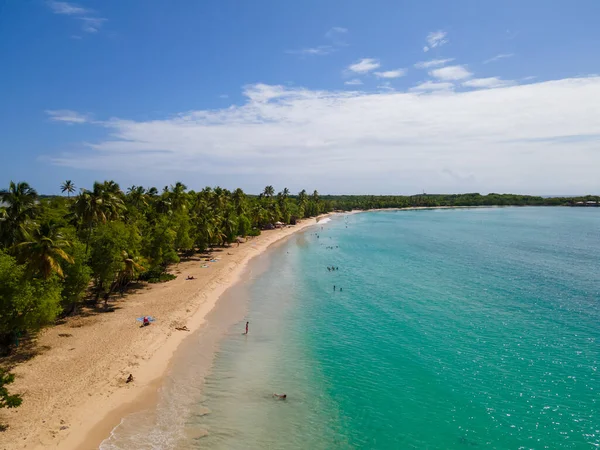 Playa Salines Santa Ana Martinica Antillas Francesas — Foto de Stock