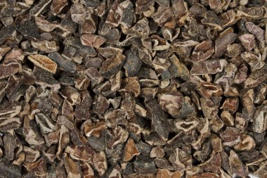 1dd82ee8-b13a-4f02-8faf-d9721c9b2e7c