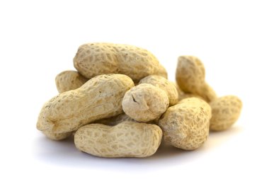 kurutulmuş fıstık