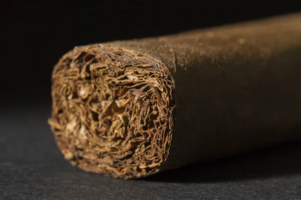 完美的热轧的雪茄 — 图库照片