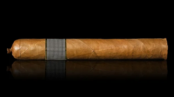 Gros cigare cubain — Photo