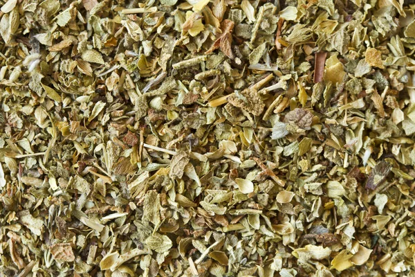 Oregano — Stock Photo, Image