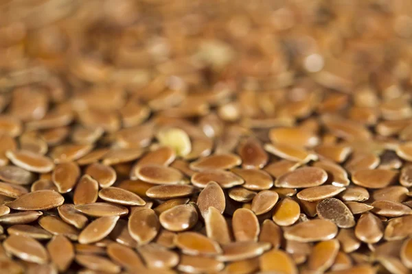 Flax Seeds — Stock Photo, Image