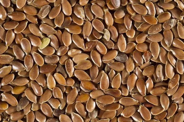 Flax Seeds — Stock Photo, Image