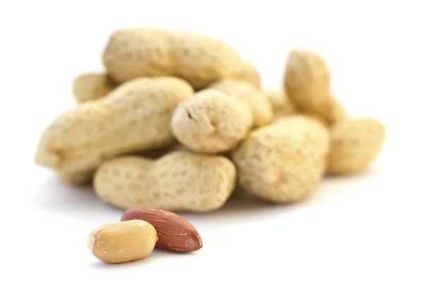 Getrocknete Erdnüsse — Stockfoto