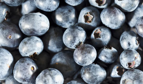 Heatlhy Blueberries — Stock Photo, Image