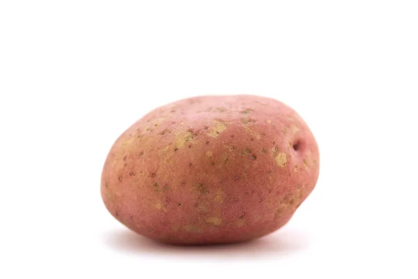 One Potato — Stock Photo, Image