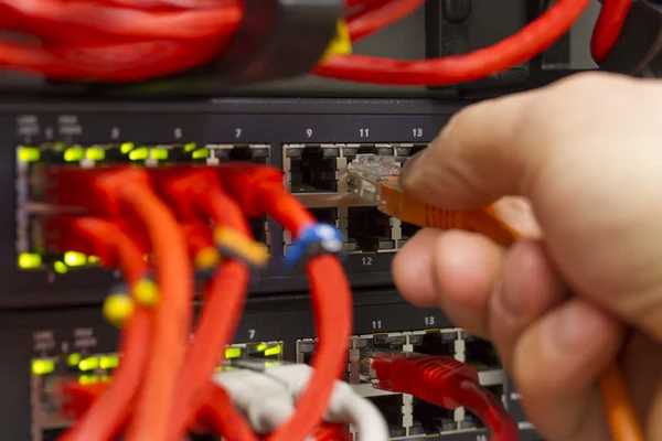 Connecting Network Cable into Switch — Stock Photo, Image