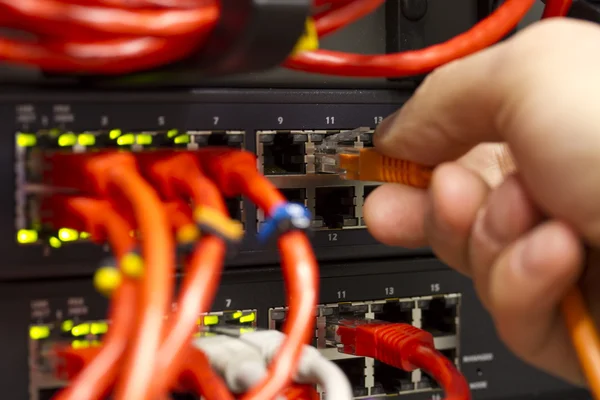 Connecting Network Cable into Switch — Stock Photo, Image