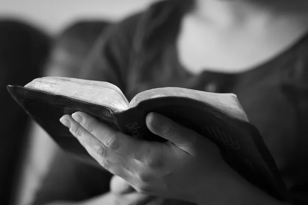 La lectura de la Biblia — Foto de Stock