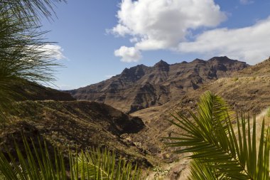 Vulcan Landscape at Gran Canary