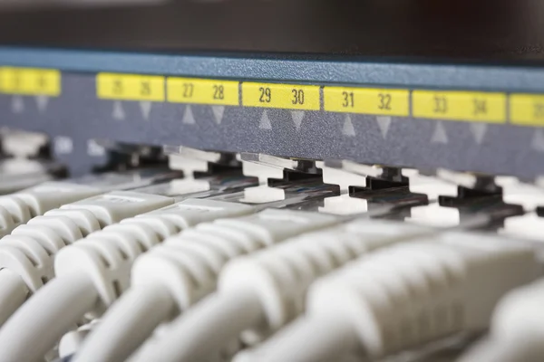 Detailní záběr síťový přepínač s kabely — Stock fotografie