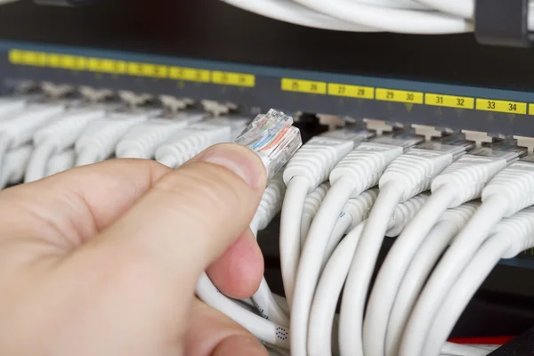 Connecting Network Cable into Switch — Stock Photo, Image