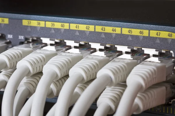 Close up of Network Switch — Stock Photo, Image