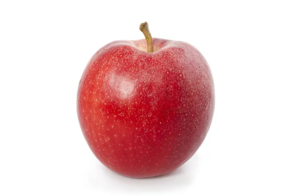 Bio-roter Apfel — Stockfoto