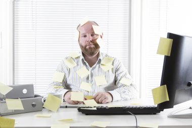 her yerde notlar ofis çalışanı