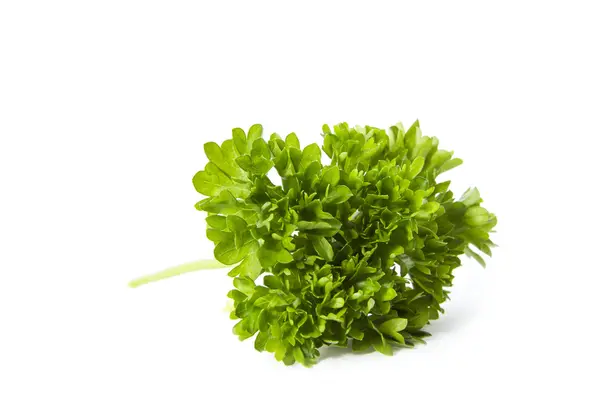 Organic Parsley — Stock Photo, Image