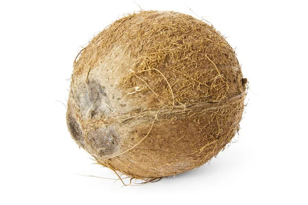 Coconut — Stock Photo, Image