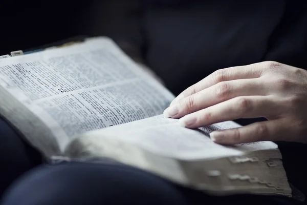 女人阅读和研究圣经 》 — 图库照片