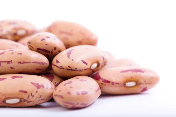 Organic Borlotti Beans — Stock Photo, Image
