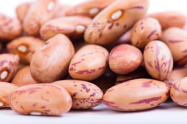 Organic Borlotti Beans — Stock Photo, Image