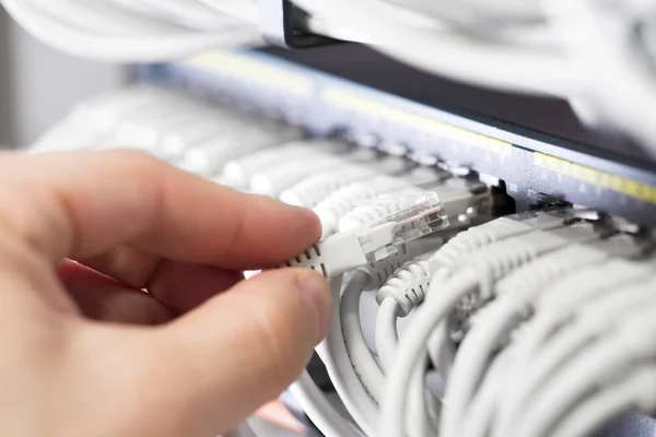 It consultant insert network cable — Stock Photo, Image