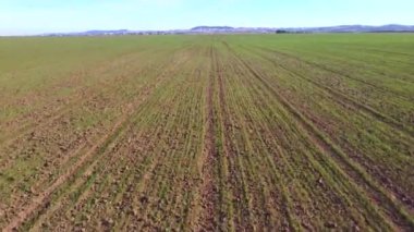 AÇIKLARIN AÇIKLARININ AÇIKLARININ üzerinden uçmak