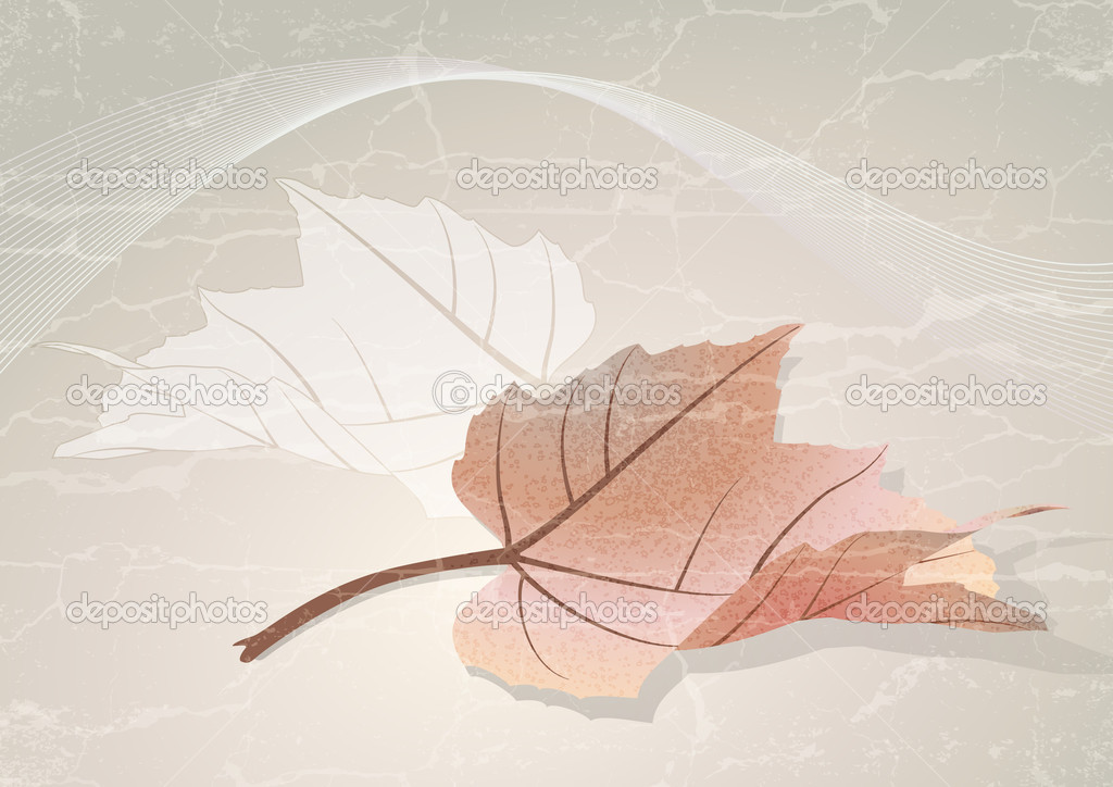 Autumn leaf