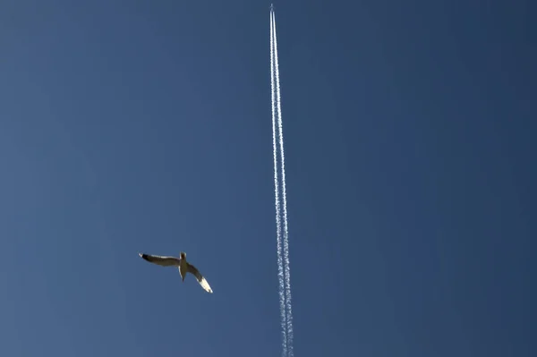 Bacoli Nápoles Céu Azul Avião Deixa Uma Longa Trilha Branca — Fotografia de Stock