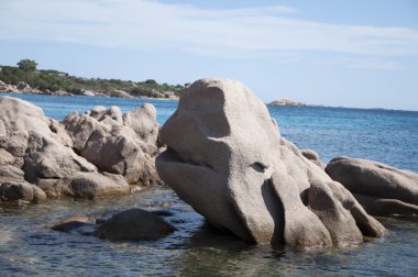 Sardinya capriccioli defne kaya balina formları