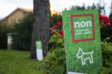 çimenlerin üzerinde yürüyüş yapmak