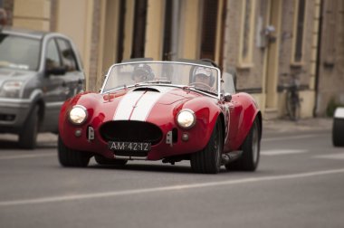 Mille miglia 2014 kobra colby