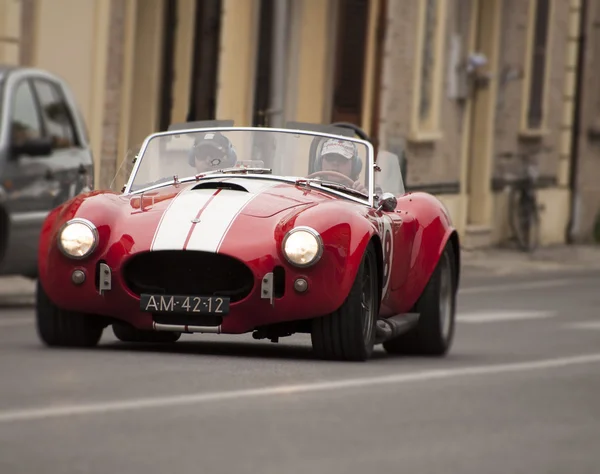 Mille miglia 2014 colby cobra — Photo