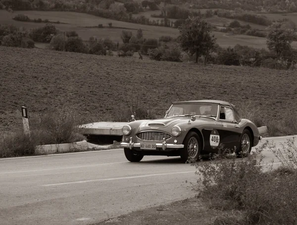 Cagli Italy Ott 2020 1957 Austin Healey 100 1957 Rallies — 스톡 사진