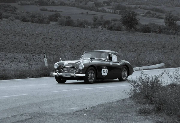 Cagli イタリア Ott 2020 Austin Healey 100 1957年イタリアの有名な歴史上のレースであるMile Miglia 2020での古いレーシングカー — ストック写真