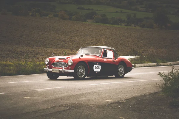 Cagli Itália Ott 2020 Austin Healey 100 1957 Velho Carro — Fotografia de Stock