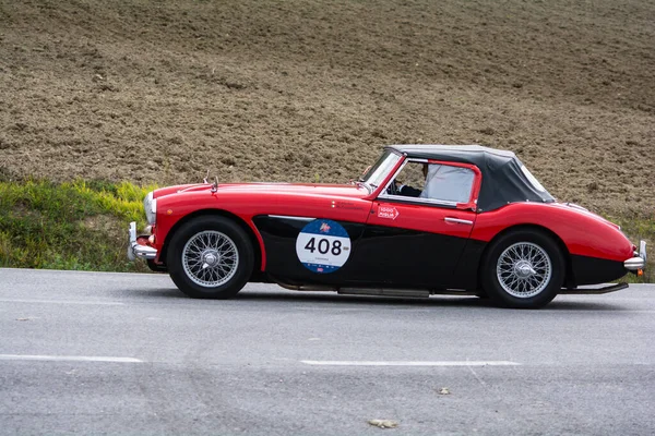 Cagli イタリア Ott 2020 Austin Healey 100 1957年イタリアの有名な歴史上のレースであるMile Miglia 2020での古いレーシングカー — ストック写真