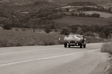 CAGLI, ITALY - OTT 24 - 2020: arnolt bolide 1954 Mille Miglia 2020 rallisinde eski bir yarış arabası üzerinde ünlü İtalyan tarihi yarışı (1927-1957)