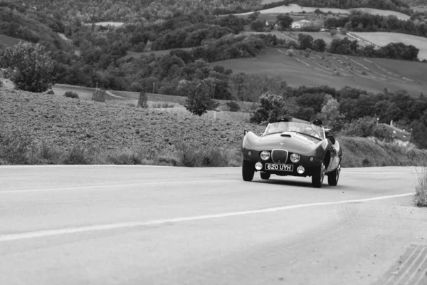 Cagli イタリア Ott 2020 ラリーマイル ミリア2020の古いレースカーで1954年のアーノルド ボライド有名なイタリアの歴史的なレース 1927年 1957年 — ストック写真