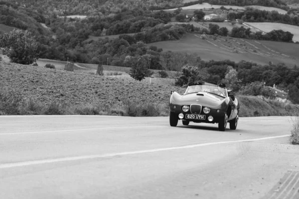 Cagli Itália Ott 2020 Arnolt Bolide 1954 Velho Carro Corrida — Fotografia de Stock