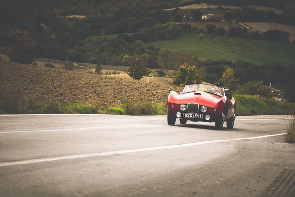 Cagli Italia Ott 2020 Arnolt Bolide 1954 Viejo Coche Carreras — Foto de Stock