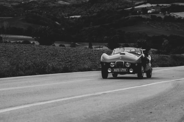 Cagli イタリア Ott 2020 ラリーマイル ミリア2020の古いレースカーで1954年のアーノルド ボライド有名なイタリアの歴史的なレース 1927年 1957年 — ストック写真