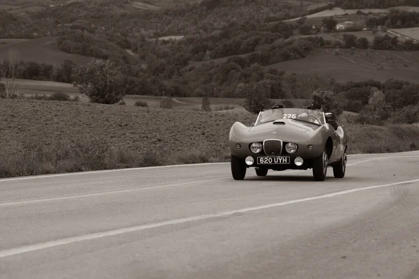 Cagli Italy Ott 2020 Arnolt Bolide 1954 Old Racing Car — Stock Photo, Image