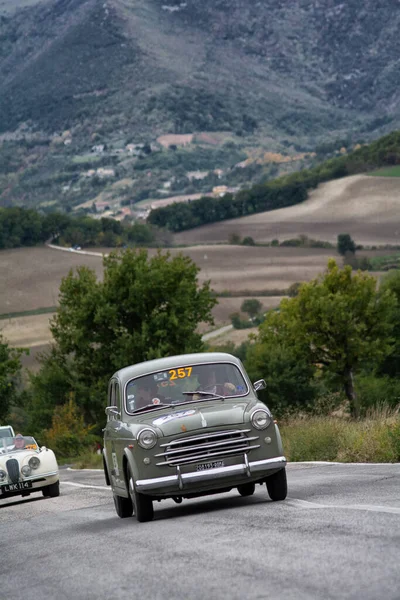 Cagli Itália Ott 2020 Fiat 1100 103 Carro Corrida Antigo — Fotografia de Stock