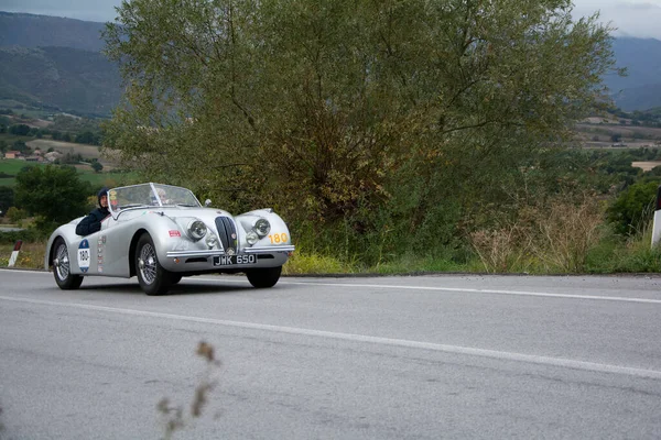 Cagli Italy Ott 2020 Jaguar Xk120 Ots Roadsters Old Racing — Stock Photo, Image