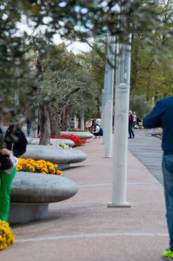 Kuzey İtalya 'da Garda Gölü' nde Bardolino - Verona ili, Kuzey İtalya
