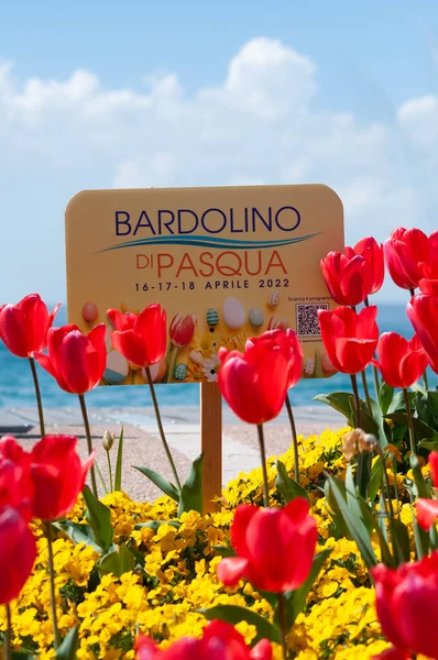Bardolino Gardameer Noord Italië Provincie Verona Noord Italië — Stockfoto