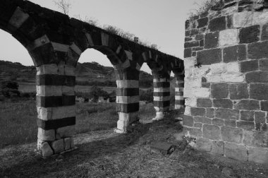 Saccargia 'nın Kutsal Üçlemesi Bazilikası, Sassari ilinin Codrongianos belediyesinde bulunan ve Sardunya' nın bu stildeki en önemli başarılarından biri olan Roma tarzı bir kilisedir.