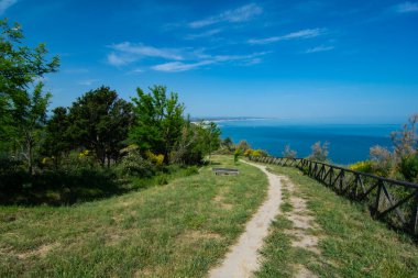 San Bartolo bölge parkı Marche bölgesi - süpürge ağaçları ve şeffaf yeşil deniz suyu.